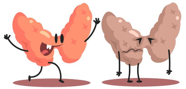 thyroid human internal organ healthy vs unhealthy, medical anatomic funny cartoon character pair in comparison happy against sick and damaged