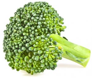 fresh broccoli isolated on white background