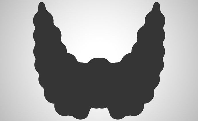 black icon of thyroid gland