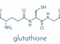 The Importance of Glutathione for Thyroid Health