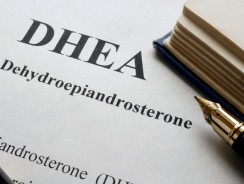 DHEA Overview And Possible Thyroid Connection