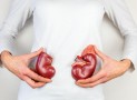 How Does Hypothyroidism Affect Our Kidneys?