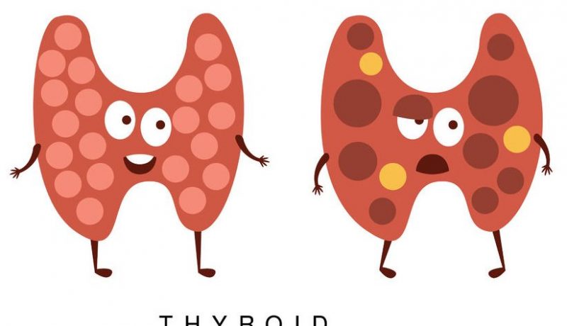 L-Tyrosine – It’s Benefits For Your Thyroid