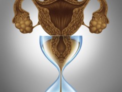Menopause Effect on the Thyroid